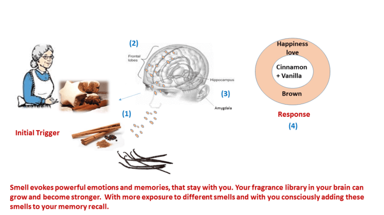 sweet-granny-baking-cakes-and-our-positive-olfactory-response-by-daphne-k-knows-1200x675