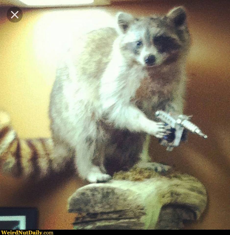 13178792_1399602410065931_1628885019297005929_n